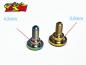Preview: JSM Hobby Titan Servo Schraube (2stk.) diverse Farben 4.3mm