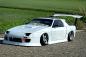 Preview: 8810 STYLE Polycarbonate Wing Type A (S/L)