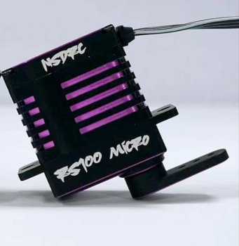 RS100 Servo & Horn Special Edition Purple