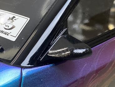 Pandora RC Door Mirror (Aero Type | Carbon Style) [APA-1563]