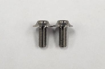 SPM Titanium Motor Screw