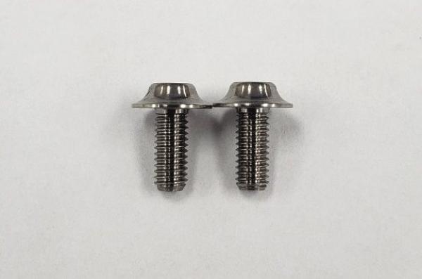 SPM Titanium Motor Screw