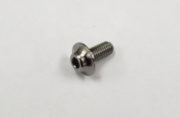 SPM Titanium Motor Screw