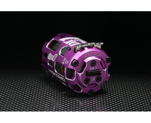 DX1R series Brushless motor (10.5T) purple